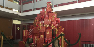 Actividades de Navidad 22 de diciembre Christmas Activities