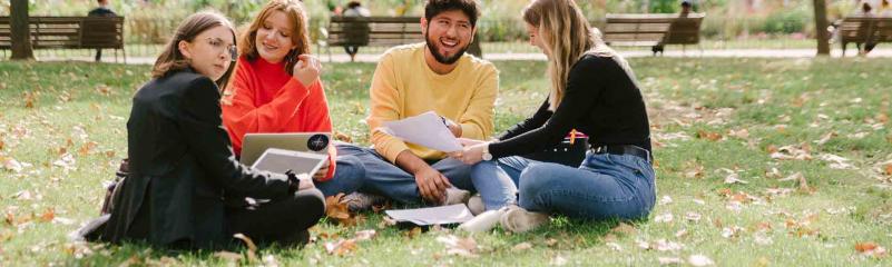 - Estudios Universitarios - - Estudios Universitarios -